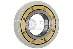 6048M/C3V3031A絕緣軸承